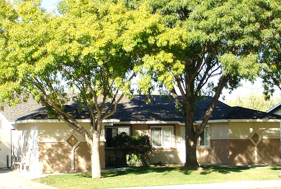 USDA – Delano: International Village